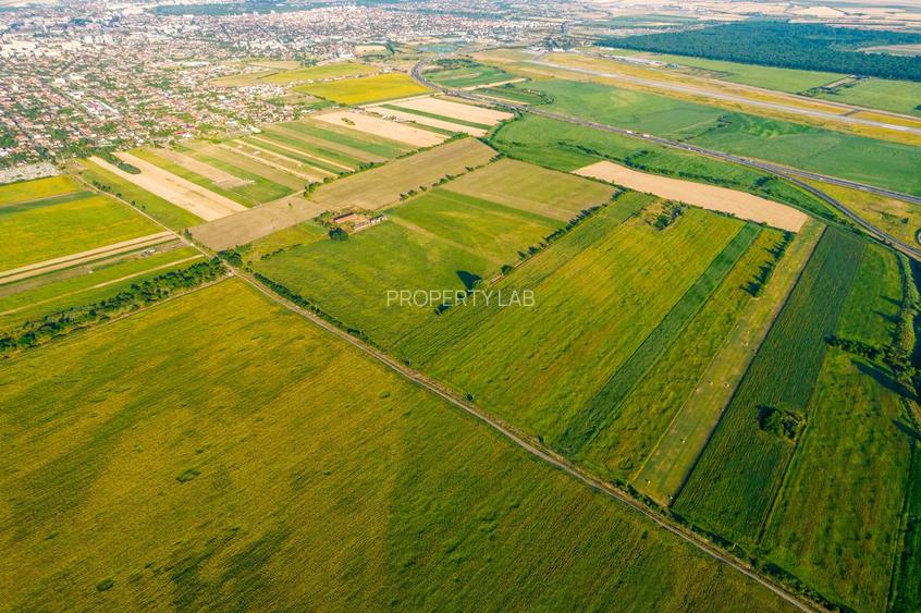 Teren de 10.000 mp situat în Bujac, Arad - 3