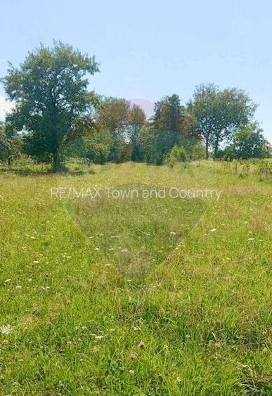 Teren 1,915mp Breb / Drumul Principal - 3