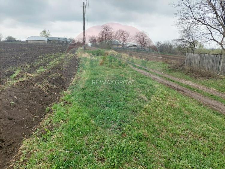 Teren agricol partial intravilan de vanzare in Filipesti jud. Bacau - 2