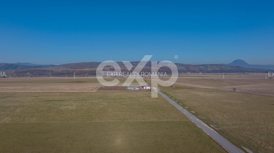 Teren 11.600 mp – Râșnov, zona Tabăra, 230 m de DN 73 - 8