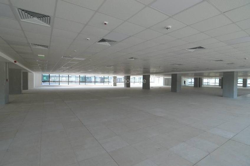 Sema Parc cladirea Bruxelles, Grozavesti, 1164 - 2616 mp  0% comision! - 4