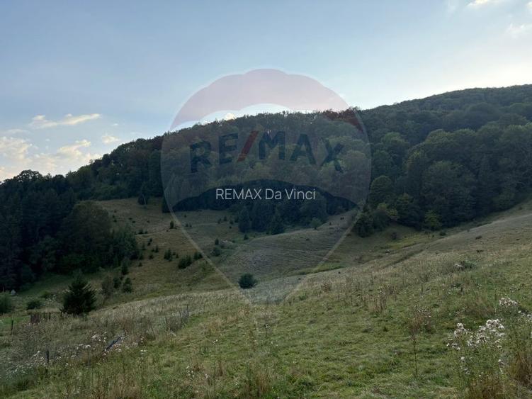 TEREN EXCLUSIV PENTRU INVESTIȚIE ÎN ZONĂ DE AGREMENT – BRAȘOV, DN 1E - 2