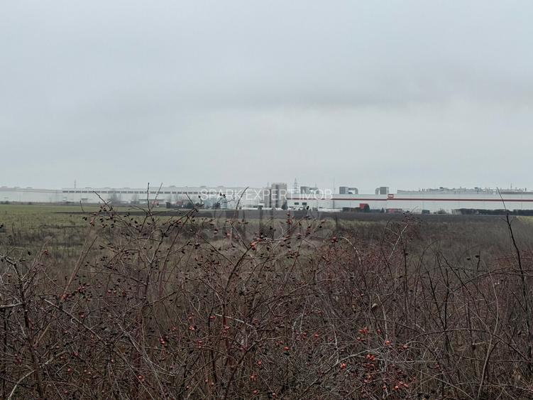 Teren extravilan DN 72 lângă Parcul Industrial - Bauelemente /Aquila - 4