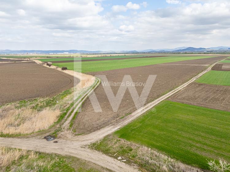 Teren de vanzare – Ghimbav, Brasov | 9.400 mp - 6