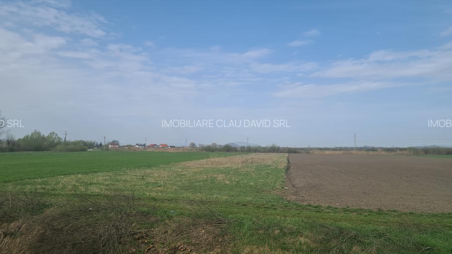 TEREN INTRAVILAN DE 2134 MP CU DRUM PROPRIU ÎN PREJMER – IDEAL PENTRU INVESTIȚIE - 3