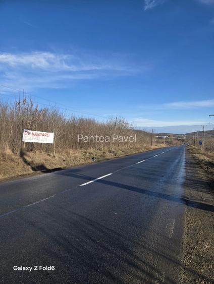 Vânzare teren Poieni Iasi 15.000 mp sau parcelat - 5