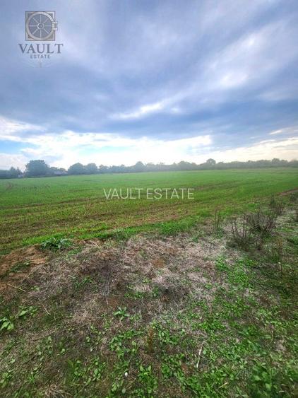 Teren Butimanu - 3700 mp-deschidere lac - 6