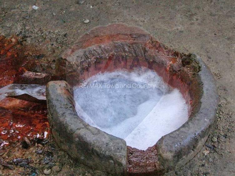 Teren 93.334 mp Ocna Sugatag, la Borcut - 2