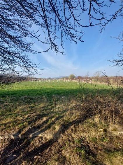 Onești | Teren 33 ha cu utilități • Se vinde integral sau în - 2