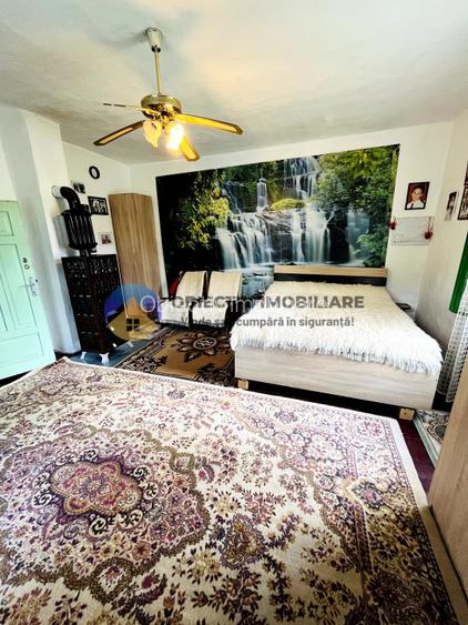  2 CASE de VANZARE in comuna GRINȚIEȘ – judetul NEAMȚ  - 6