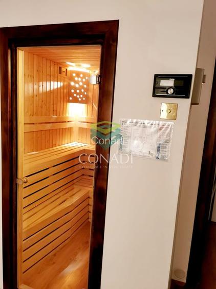 Spatiu de birouri Herastrau - 16