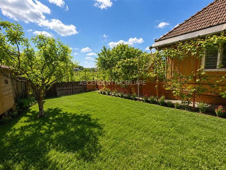 Casa cu farmec autentic, anexe, 1.100 mp teren roditor, Saulia, Mures - 7