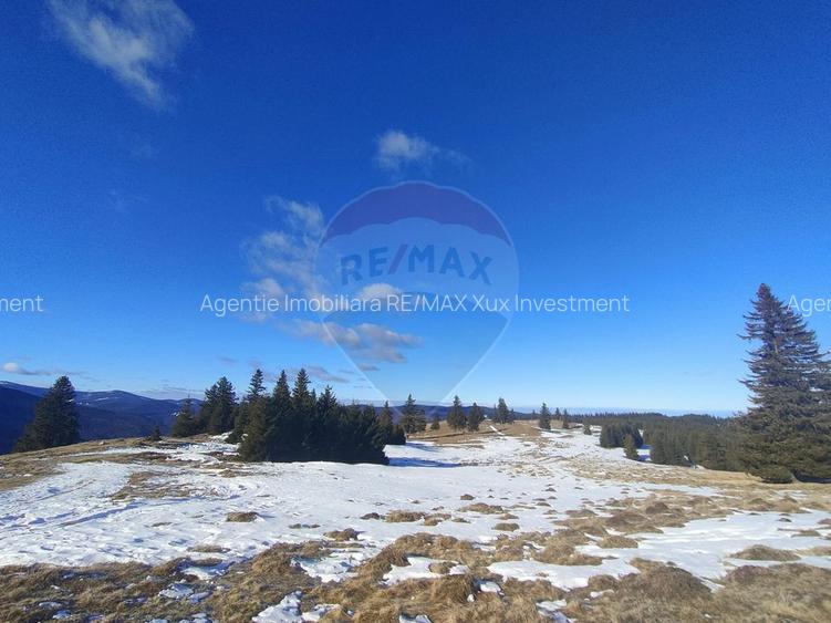 Teren  extravilan - 7