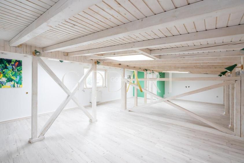 BIROURI | VILA | ULTRACENTRAL | PARCARE - 12