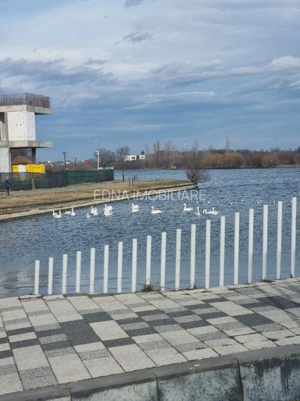 Casă contemporană între natură și oraș – Chitila - 3