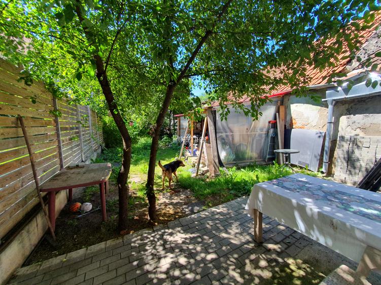 Sitei, casa individuala, teren 280 mp, 270000 euro - 7
