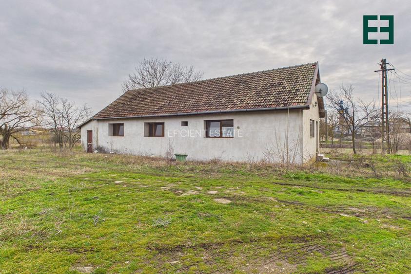 Proprietate industrială + Teren 8.632 - Voiteg - Județul Timiș - 20