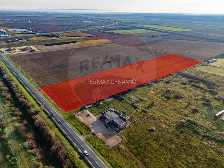 Teren 29220 mp Pecica,DN7, langa autostrada- Ideal pentru afaceri - 3