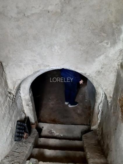 Investitie ideala in Coroi! Constructii cu 4.6 ha teren. - 16