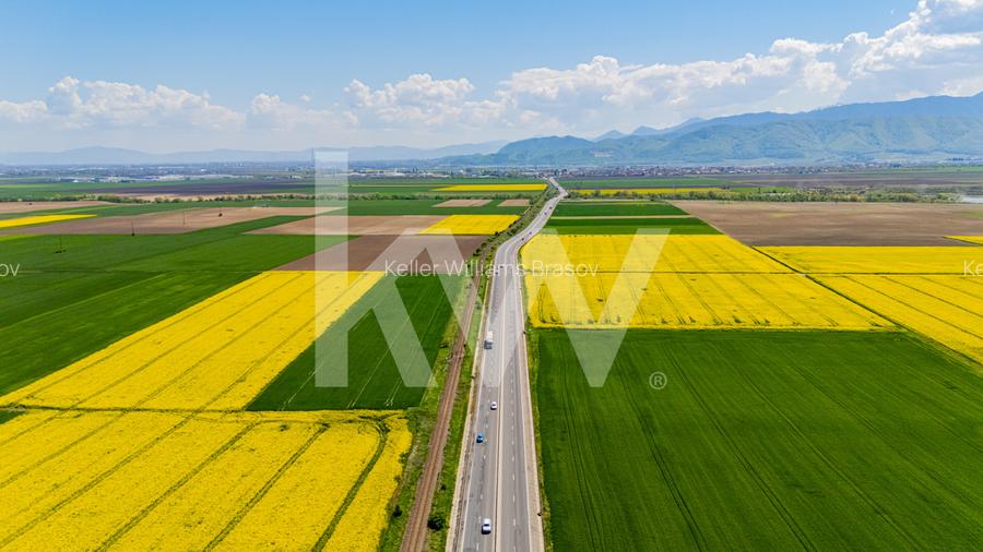 Teren 10.600 mp în Codlea – ideal pentru investiție industrială - 3