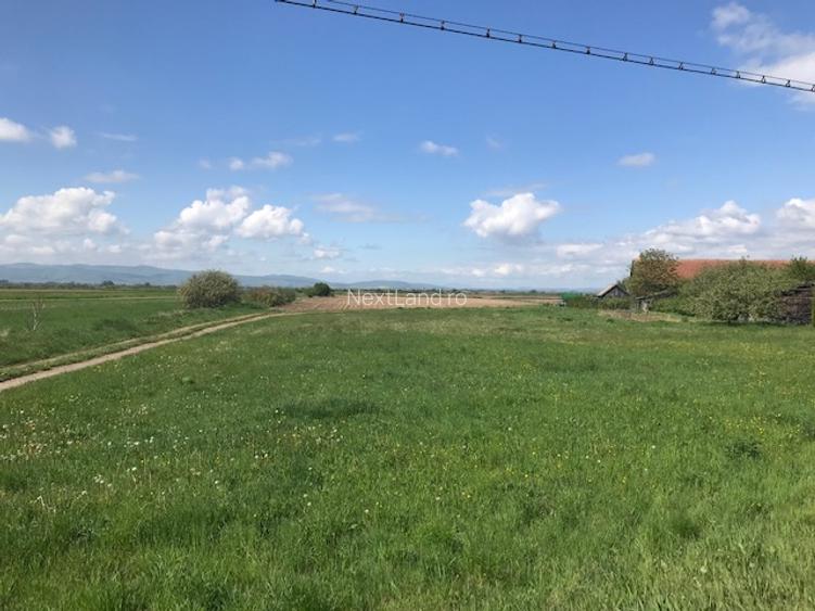 Domeniu de vânzare: 34.530 mp,Casă tip conac,Anexe istorice,perioada interbelică - 9