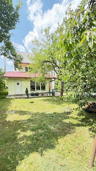 BAIA SPRIE - spre Cavnic Vila D+P+E 168mp + anexa cu teren 1526mp! - 6