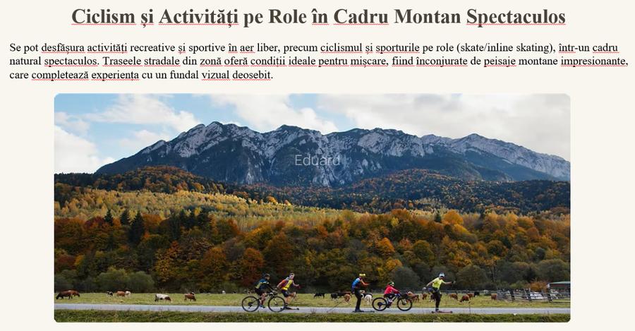 Teren 12 000 mp cu PUZ - 6 Blocuri - P+5E - 104 apartamente -  Brasov - 12