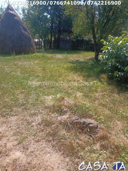  Teren Intravilan, situat in Sat Tismana (zona Gornovita) - 2