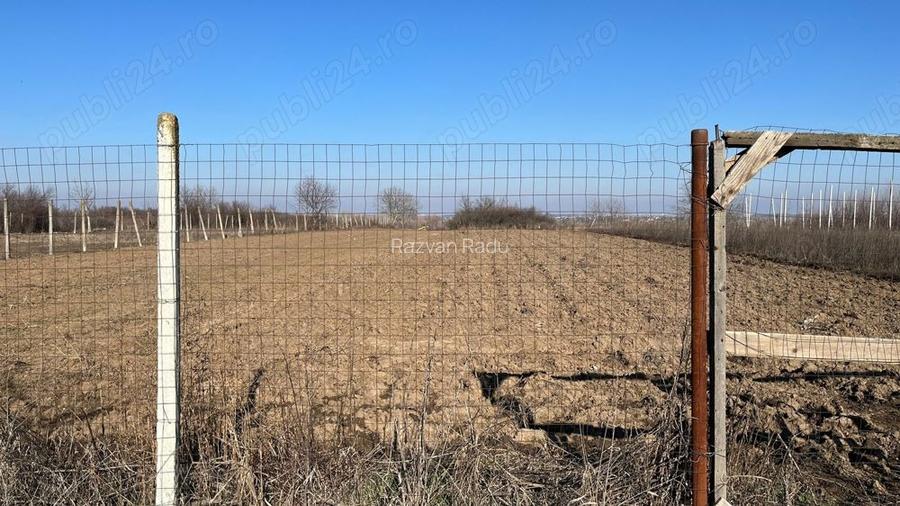 Teren intravilan Dărăști Vlasca 4700mp, intre case, toate utilitatile - 4