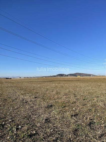 Teren intravilan Triaj - 5