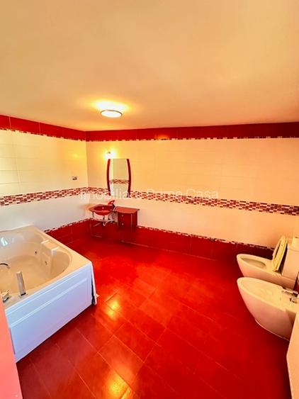 V. BORCUTULUI VILA 600mp P+E+M cu 2000mp teren! - 25