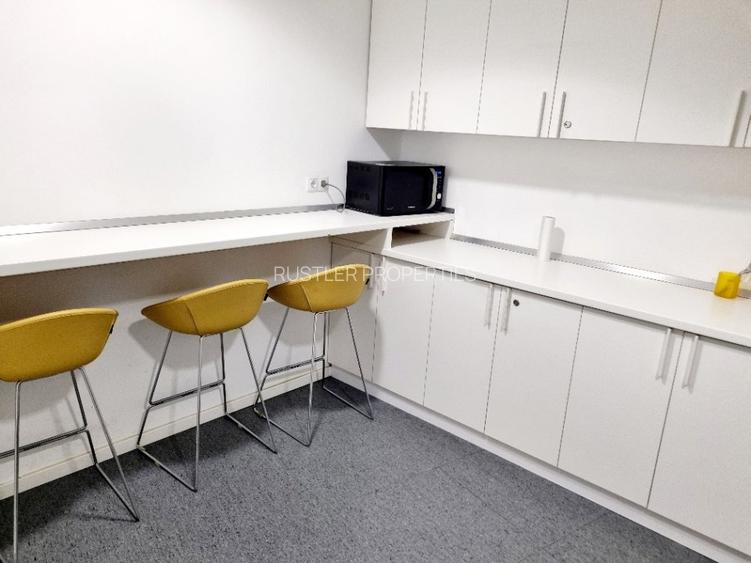 Inchiriere spatii de birou amenajate in cladirea Green Gate - Tudor Vladimirescu - 9