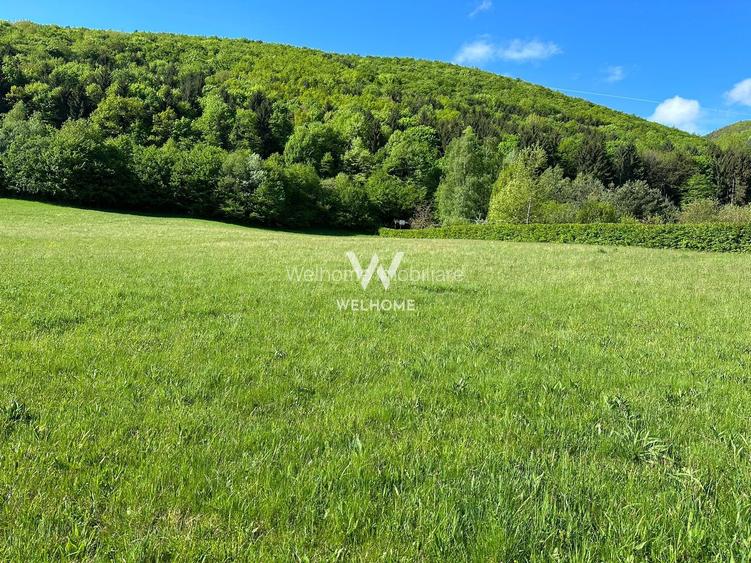 Teren Intravilan in Tocile-priveliste deosebita - Sadu - Sibiu - 4