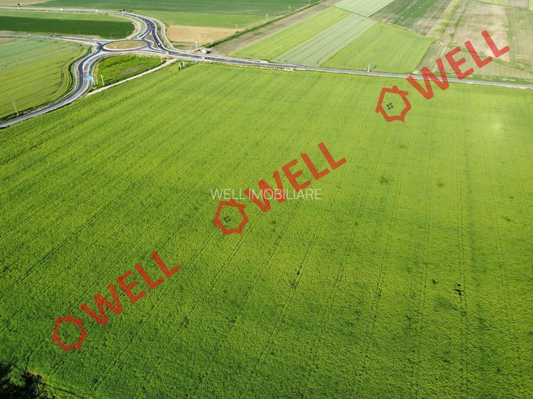 Teren extravilan de vânzare în Chichis! - 7