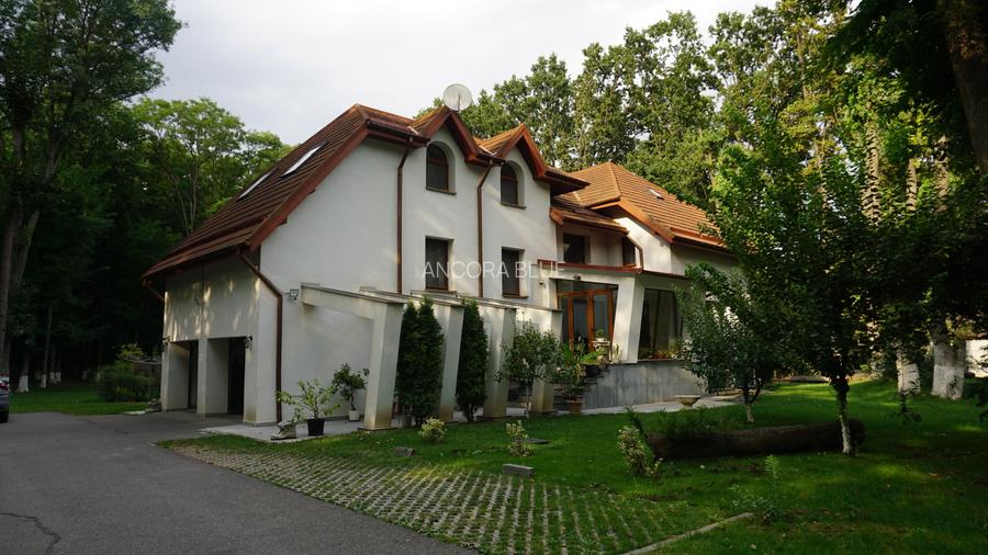 Vila superba in Padurea Baneasa, curte 5000 mp, piscina exterioara - 45