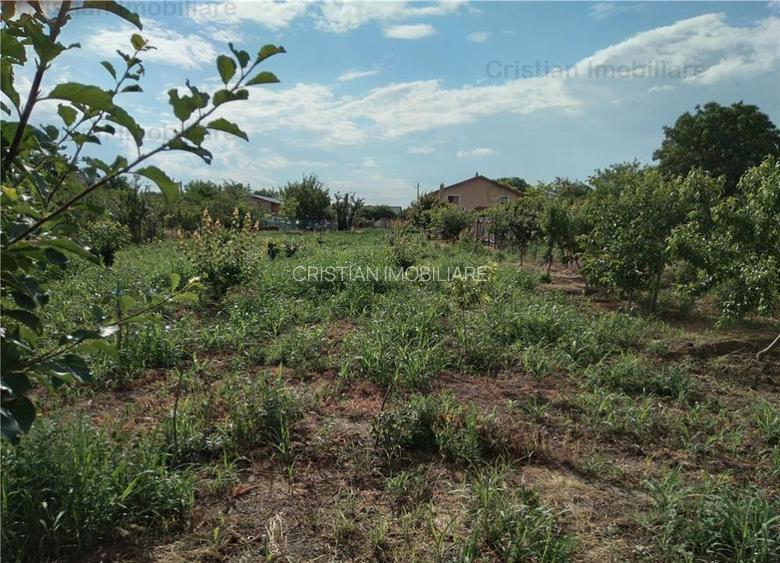 Teren 1750 mp, zona Cazasu - 2