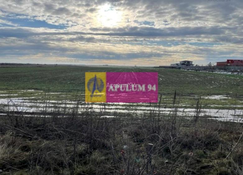 Teren Mihailesti- langa Dovinot. - 2