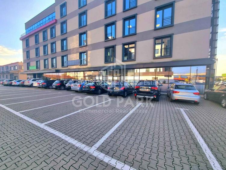 Spatiu de Birouri-Zona Traian Vuia-Parcare/Suprafete de la 50-160 mp - 24