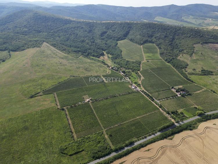 Vie Tradițională „Halta Lupilor” - 34