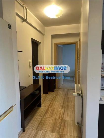 Inchiriere apartament 2 camere cochet Chitilei - Parcul Bazilescu - 16