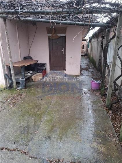 Pantelimon - Tuborg - 9