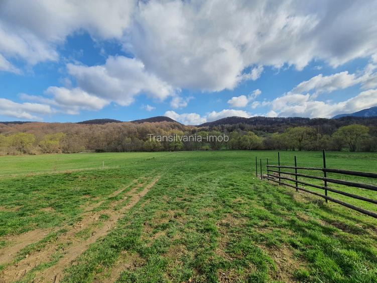 Teren Rasnov – Predeal zona de pensiuni - 2