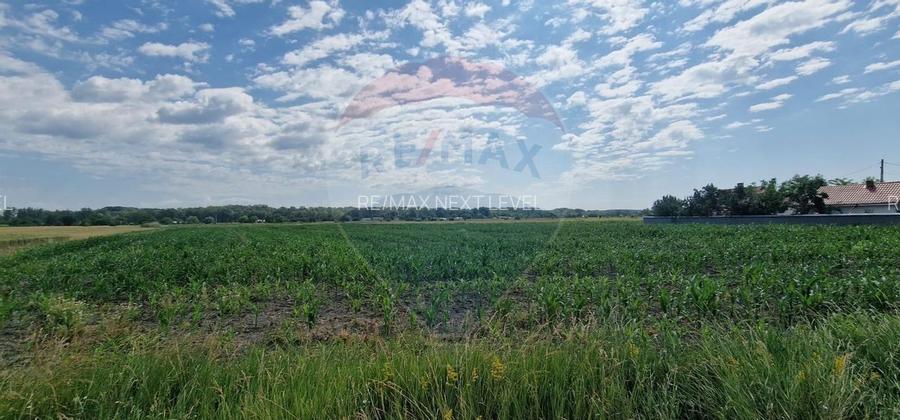 De vânzare teren 10.001 mp sat Oniscani, comuna Filipești - 2