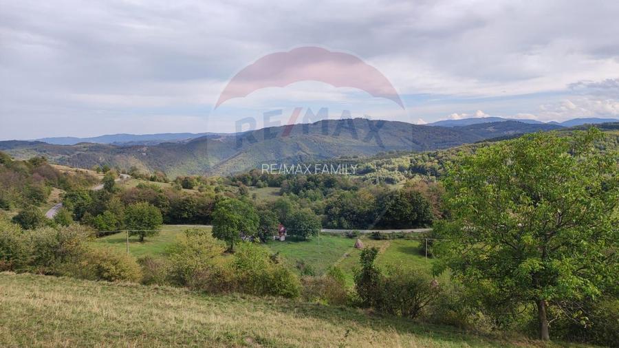 Teren constructii si faneata/livada 3082 mp Damis Bratca drum DJ 764D - 14