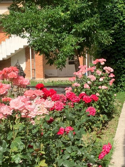 De Vânzare – Fermă de Pomi Fructiferi, 48,8 ha, Iancu Jianu, Jud. Olt - 22