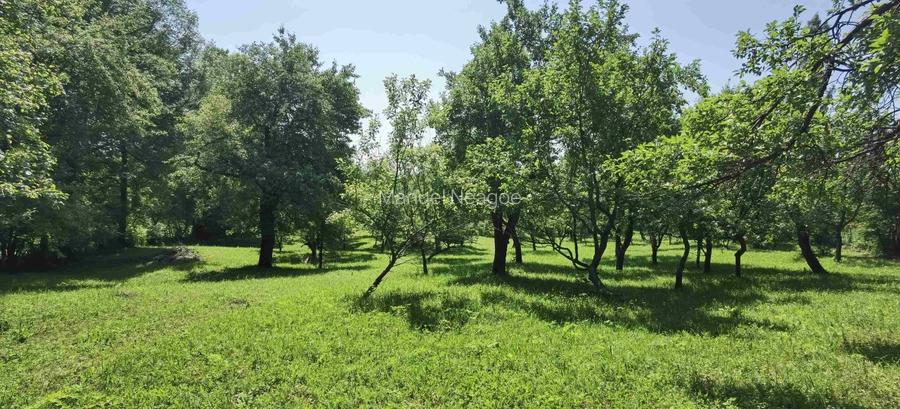 Teren intravilan Talea situat in mijlocul naturii ! - 4