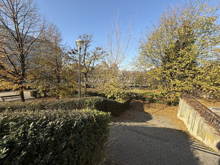 Spatiu comercial Manastur zona Calvaria - 9