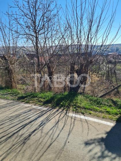 Casa de vanzare in comuna Cut Judetul Alba - 12