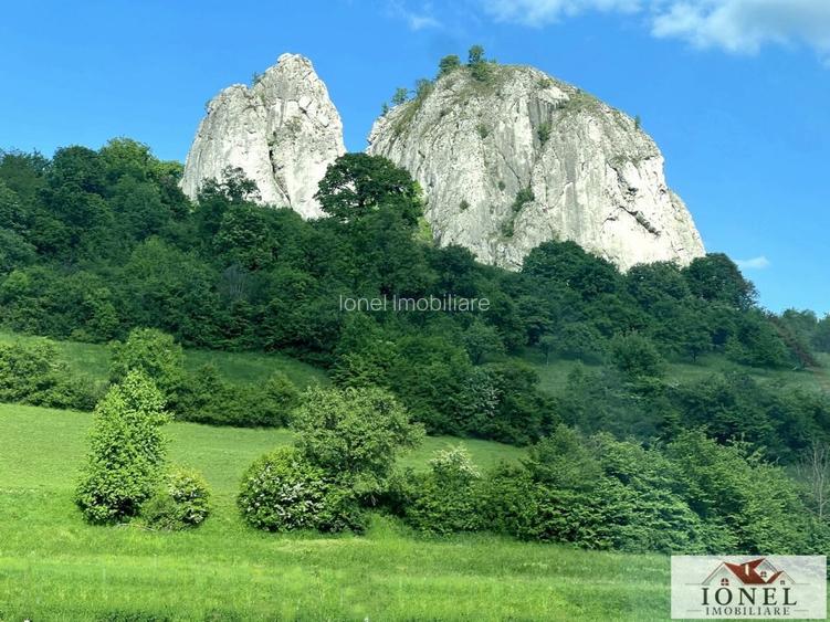 Vanzare casa in Ampoita -1300 mp teren - 10