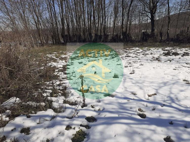 Casa mediulrural,zona Icusesti - 3